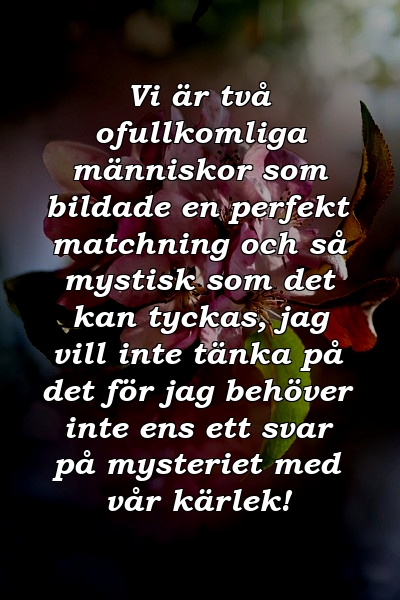 Vi är två ofullkomliga människor som bildade en perfekt matchning och så mystisk som det kan tyckas, jag vill inte tänka på det för jag behöver inte ens ett svar på mysteriet med vår kärlek!