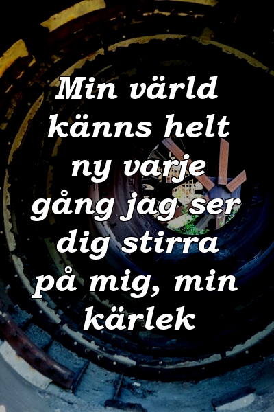 Min värld känns helt ny varje gång jag ser dig stirra på mig, min kärlek