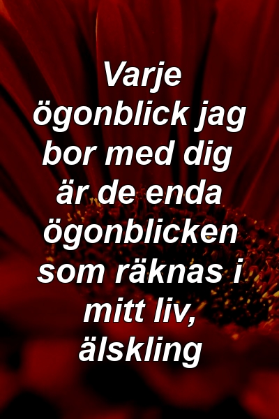 Varje ögonblick jag bor med dig är de enda ögonblicken som räknas i mitt liv, älskling