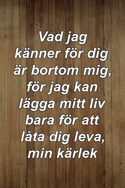 Vad jag känner för dig är bortom mig, för jag kan lägga mitt liv bara för att låta dig leva, min kärlek