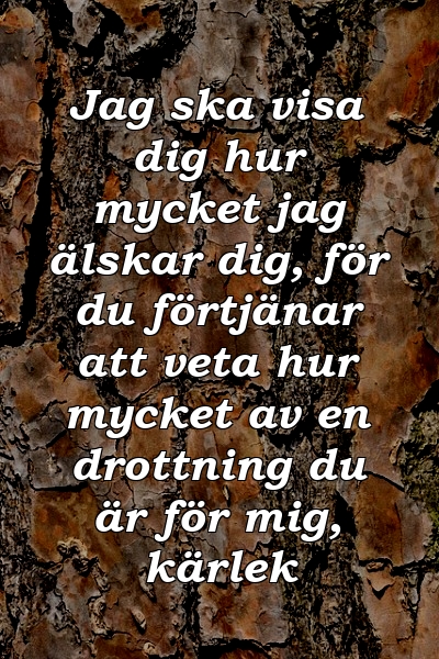 Jag ska visa dig hur mycket jag älskar dig, för du förtjänar att veta hur mycket av en drottning du är för mig, kärlek