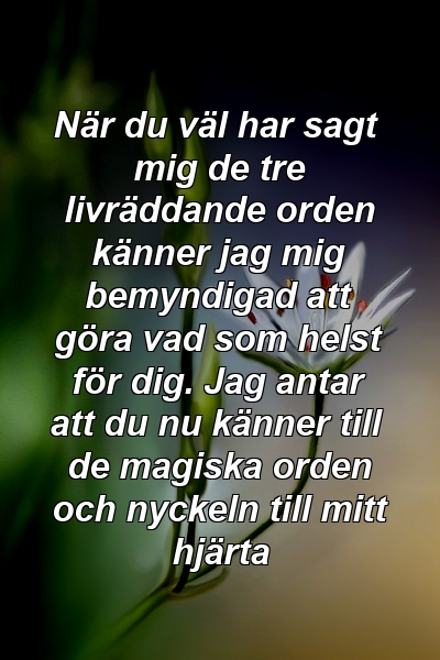 När du väl har sagt mig de tre livräddande orden känner jag mig bemyndigad att göra vad som helst för dig. Jag antar att du nu känner till de magiska orden och nyckeln till mitt hjärta