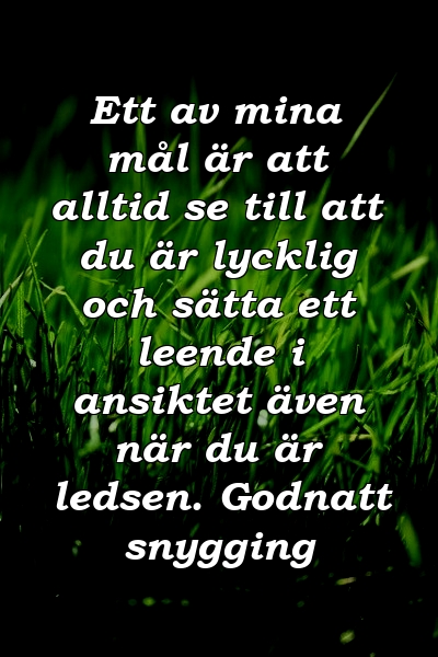 Ett av mina mål är att alltid se till att du är lycklig och sätta ett leende i ansiktet även när du är ledsen. Godnatt snygging