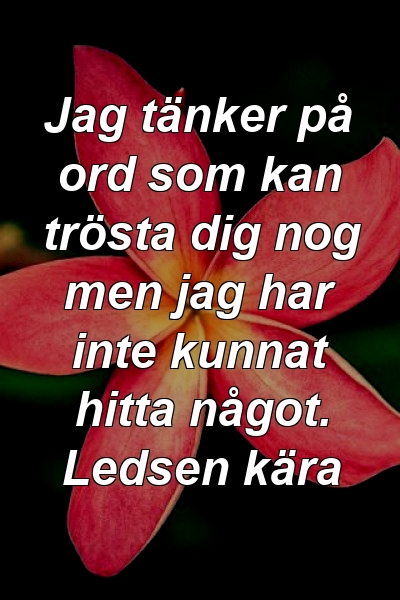 Jag tänker på ord som kan trösta dig nog men jag har inte kunnat hitta något. Ledsen kära