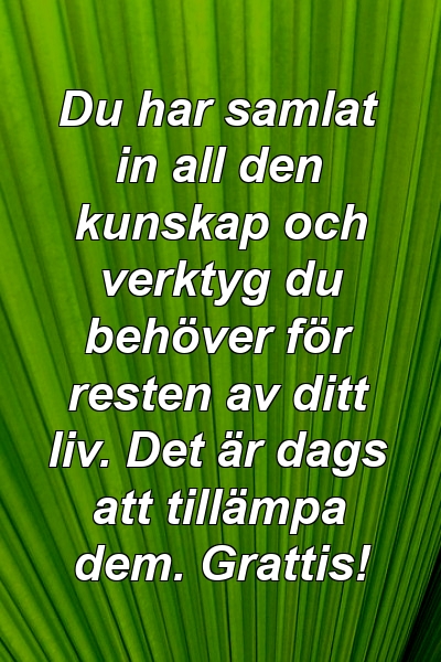 Du har samlat in all den kunskap och verktyg du behöver för resten av ditt liv. Det är dags att tillämpa dem. Grattis!