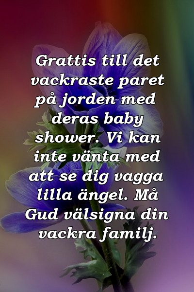 Grattis till det vackraste paret på jorden med deras baby shower. Vi kan inte vänta med att se dig vagga lilla ängel. Må Gud välsigna din vackra familj.