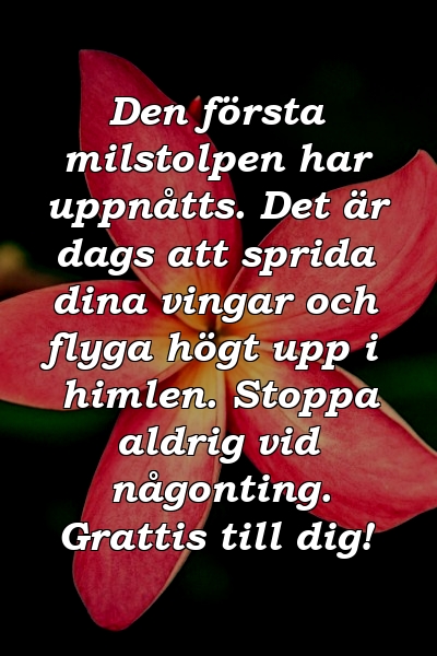 Den första milstolpen har uppnåtts. Det är dags att sprida dina vingar och flyga högt upp i himlen. Stoppa aldrig vid någonting. Grattis till dig!