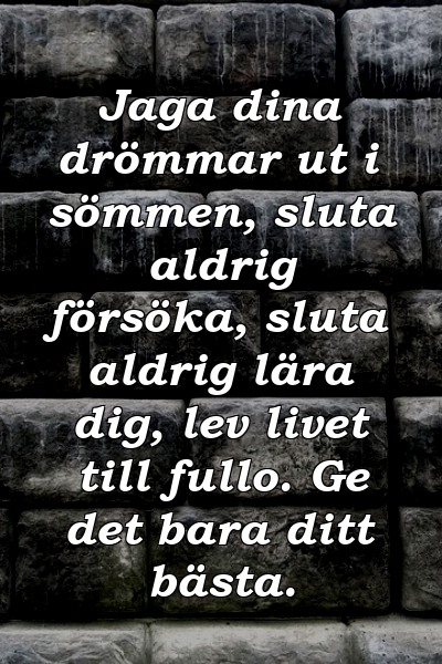 Jaga dina drömmar ut i sömmen, sluta aldrig försöka, sluta aldrig lära dig, lev livet till fullo. Ge det bara ditt bästa.