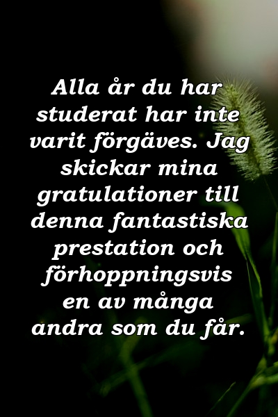 Alla år du har studerat har inte varit förgäves. Jag skickar mina gratulationer till denna fantastiska prestation och förhoppningsvis en av många andra som du får.