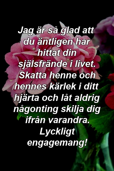 Jag är så glad att du äntligen har hittat din själsfrände i livet. Skatta henne och hennes kärlek i ditt hjärta och låt aldrig någonting skilja dig ifrån varandra. Lyckligt engagemang!