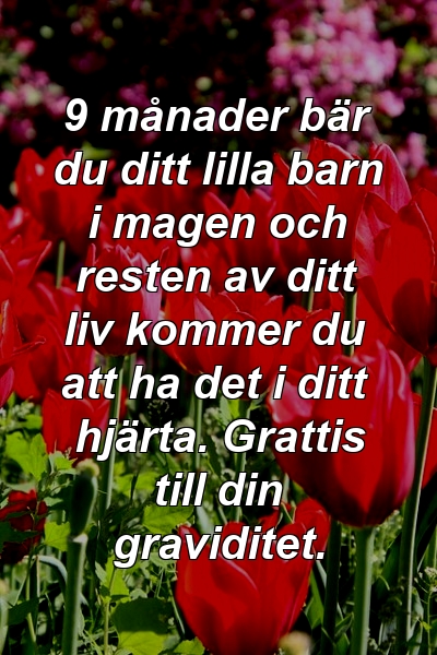 9 månader bär du ditt lilla barn i magen och resten av ditt liv kommer du att ha det i ditt hjärta. Grattis till din graviditet.