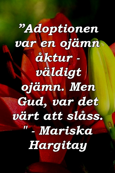 ”Adoptionen var en ojämn åktur - väldigt ojämn. Men Gud, var det värt att slåss. " - Mariska Hargitay