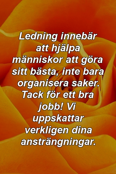 Ledning innebär att hjälpa människor att göra sitt bästa, inte bara organisera saker. Tack för ett bra jobb! Vi uppskattar verkligen dina ansträngningar.