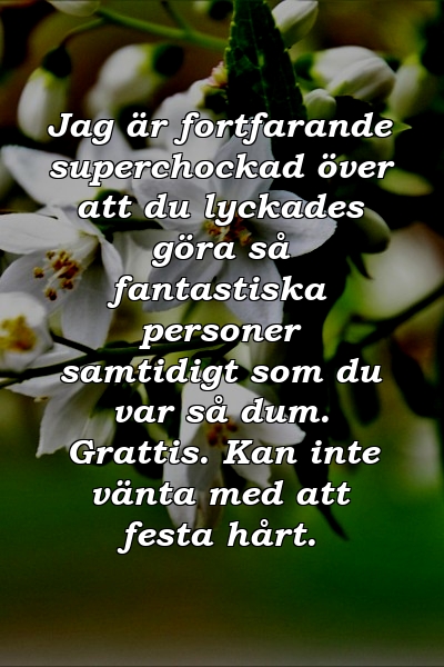 Jag är fortfarande superchockad över att du lyckades göra så fantastiska personer samtidigt som du var så dum. Grattis. Kan inte vänta med att festa hårt.