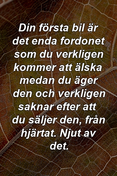 Din första bil är det enda fordonet som du verkligen kommer att älska medan du äger den och verkligen saknar efter att du säljer den, från hjärtat. Njut av det.