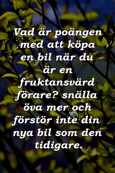 Vad är poängen med att köpa en bil när du är en fruktansvärd förare? snälla öva mer och förstör inte din nya bil som den tidigare.