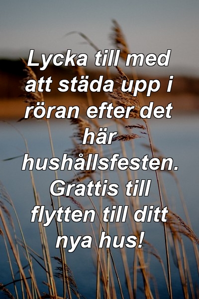 Lycka till med att städa upp i röran efter det här hushållsfesten. Grattis till flytten till ditt nya hus!