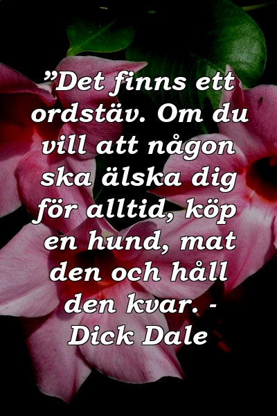 ”Det finns ett ordstäv. Om du vill att någon ska älska dig för alltid, köp en hund, mat den och håll den kvar. - Dick Dale