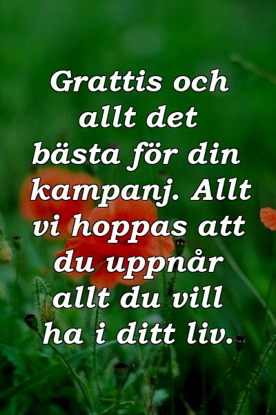 Grattis och allt det bästa för din kampanj. Allt vi hoppas att du uppnår allt du vill ha i ditt liv.