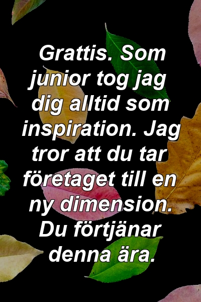 Grattis. Som junior tog jag dig alltid som inspiration. Jag tror att du tar företaget till en ny dimension. Du förtjänar denna ära.