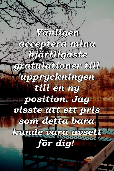 Vänligen acceptera mina hjärtligaste gratulationer till uppryckningen till en ny position. Jag visste att ett pris som detta bara kunde vara avsett för dig!