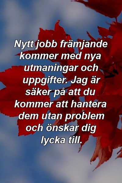 Nytt jobb främjande kommer med nya utmaningar och uppgifter. Jag är säker på att du kommer att hantera dem utan problem och önskar dig lycka till.