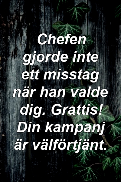 Chefen gjorde inte ett misstag när han valde dig. Grattis! Din kampanj är välförtjänt.