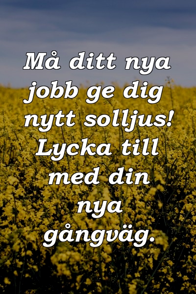 Må ditt nya jobb ge dig nytt solljus! Lycka till med din nya gångväg.