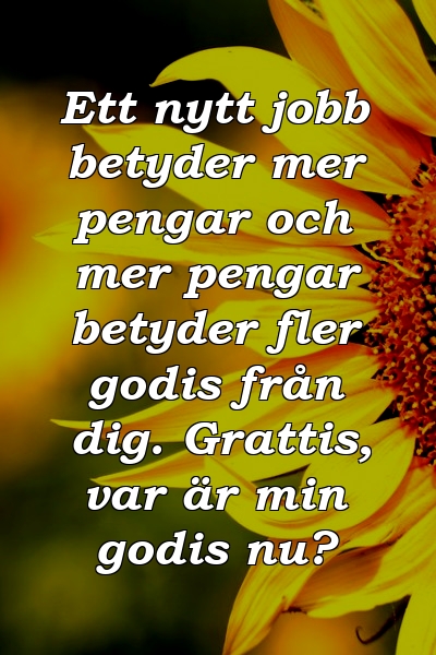 Ett nytt jobb betyder mer pengar och mer pengar betyder fler godis från dig. Grattis, var är min godis nu?