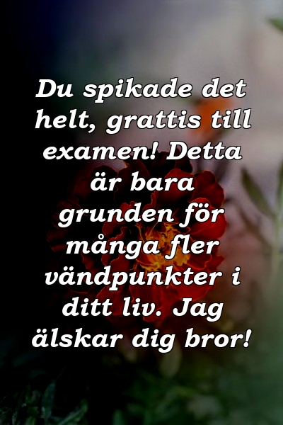 Du spikade det helt, grattis till examen! Detta är bara grunden för många fler vändpunkter i ditt liv. Jag älskar dig bror!