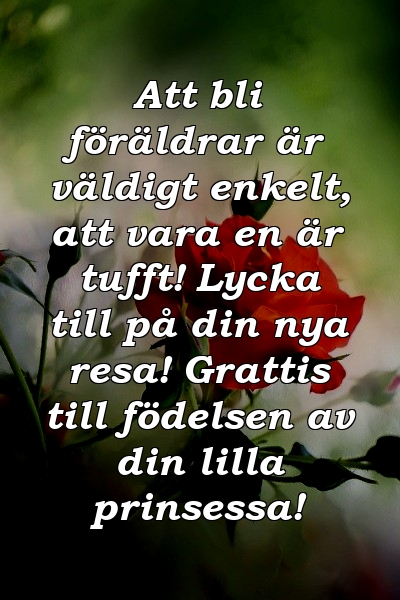 Att bli föräldrar är väldigt enkelt, att vara en är tufft! Lycka till på din nya resa! Grattis till födelsen av din lilla prinsessa!