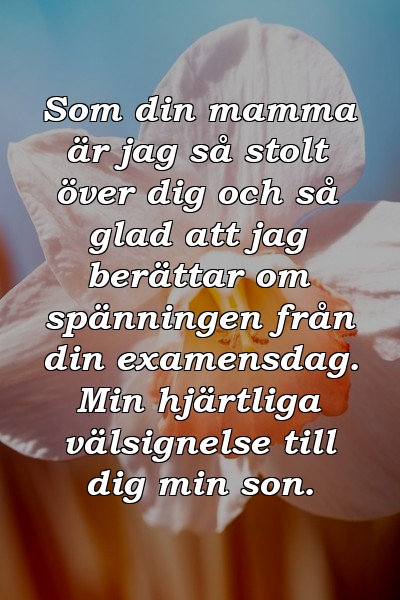 Som din mamma är jag så stolt över dig och så glad att jag berättar om spänningen från din examensdag. Min hjärtliga välsignelse till dig min son.