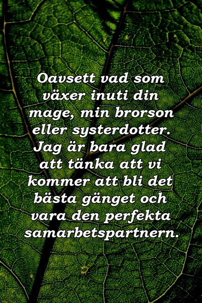 Oavsett vad som växer inuti din mage, min brorson eller systerdotter. Jag är bara glad att tänka att vi kommer att bli det bästa gänget och vara den perfekta samarbetspartnern.