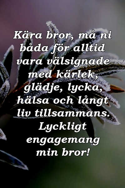 Kära bror, må ni båda för alltid vara välsignade med kärlek, glädje, lycka, hälsa och långt liv tillsammans. Lyckligt engagemang min bror!