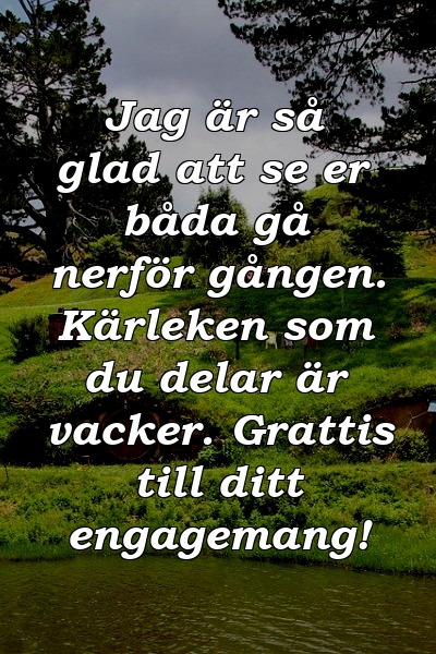 Jag är så glad att se er båda gå nerför gången. Kärleken som du delar är vacker. Grattis till ditt engagemang!