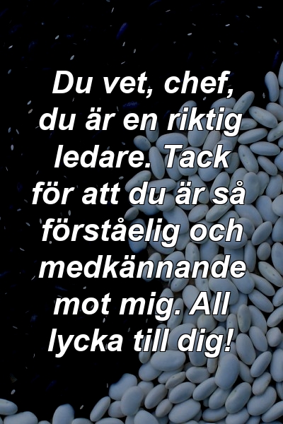 Du vet, chef, du är en riktig ledare. Tack för att du är så förståelig och medkännande mot mig. All lycka till dig!