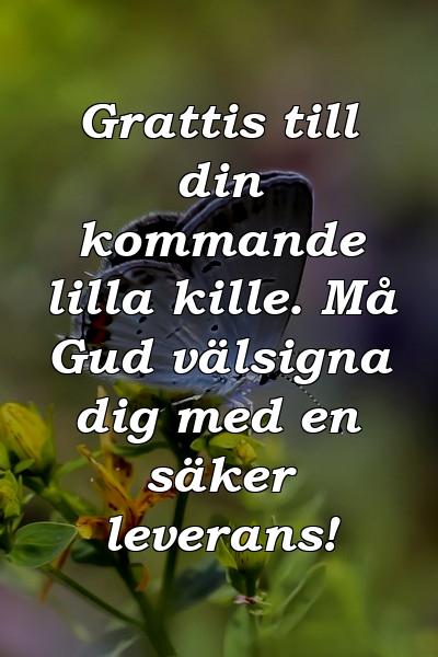 Grattis till din kommande lilla kille. Må Gud välsigna dig med en säker leverans!